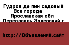 Гудрон де пин садовый - Все города  »    . Ярославская обл.,Переславль-Залесский г.